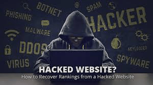 Website Hacking icon
